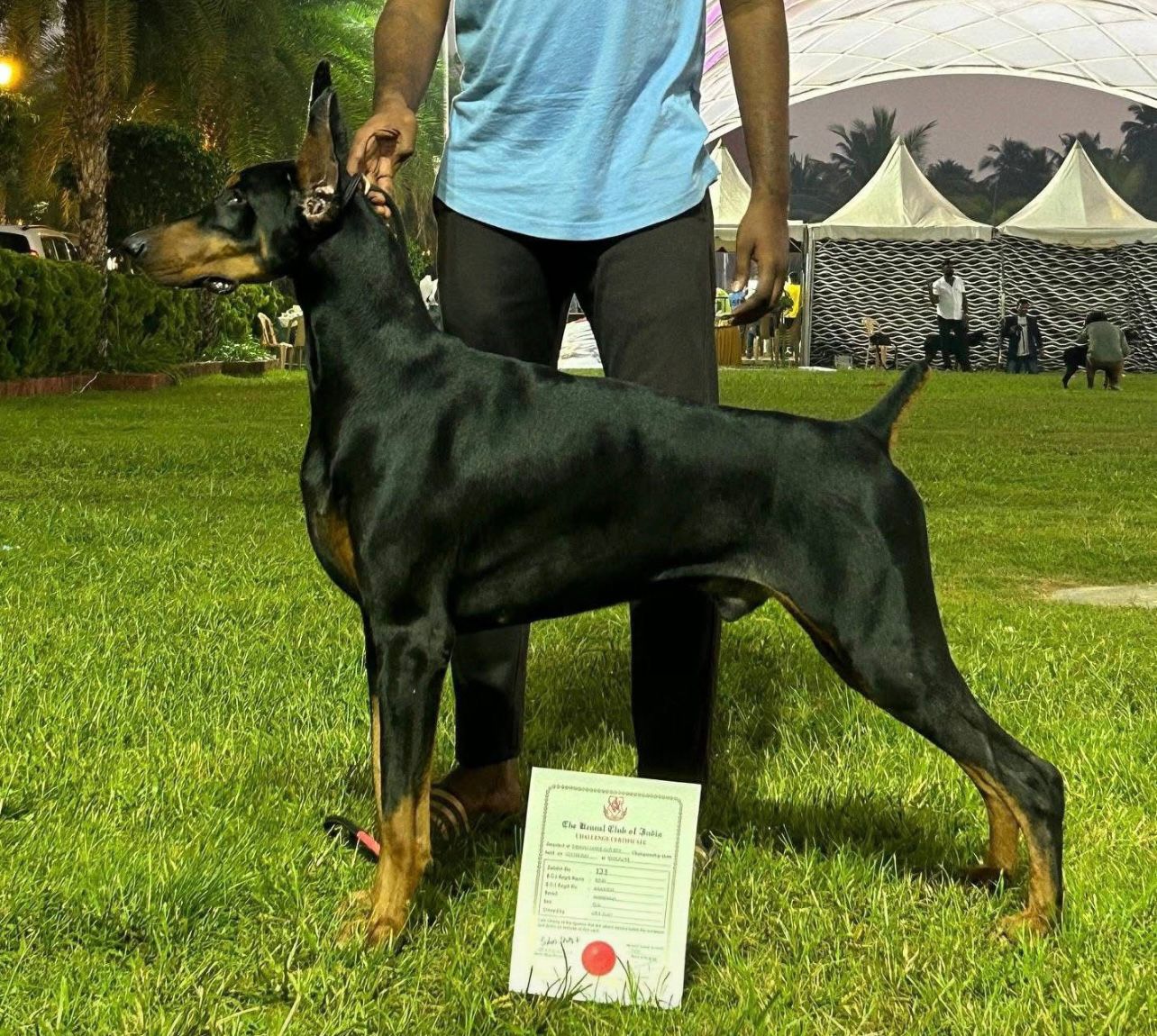 Training Moment